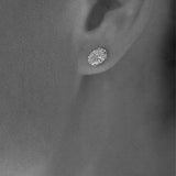 Perfect Oval Studs